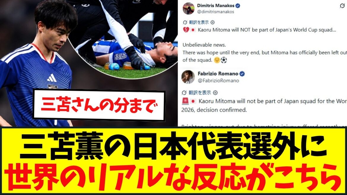 三笘薫のW杯欠場、無念のブライトン記者が“愛情エール”「より強くなって戻ってくる」 三笘薫のW杯欠場、無念のブライトン記者が“愛情エール”「より強くなって戻ってくる」