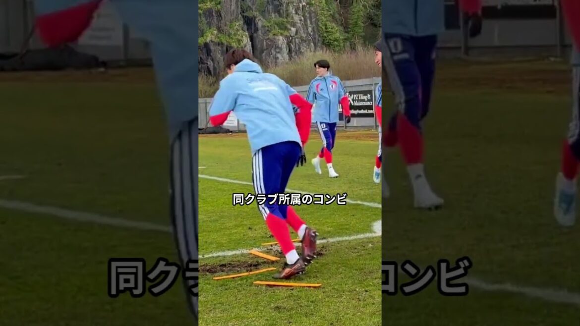 呪われた左シャドー？日本代表のスタメン予想がカオスすぎると話題 #日本代表 #サッカー #三笘薫 #伊東純也 #南野拓実 #ワールドカップ #森保ジャパン #中村敬斗 #スタメン予想 #サッカー日本代