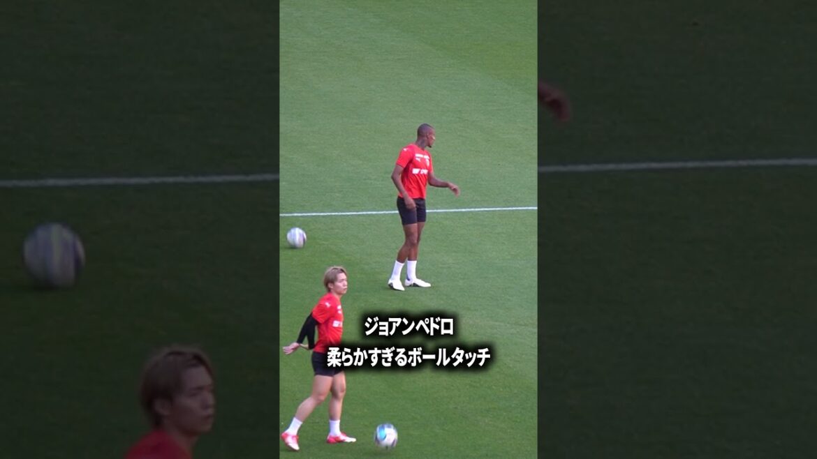 ジョアンペドロうんまいなー