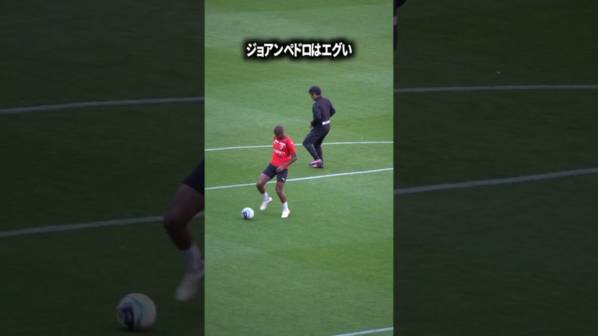 ジョアンペドロ素晴らしい選手 ジョアンペドロ素晴らしい選手