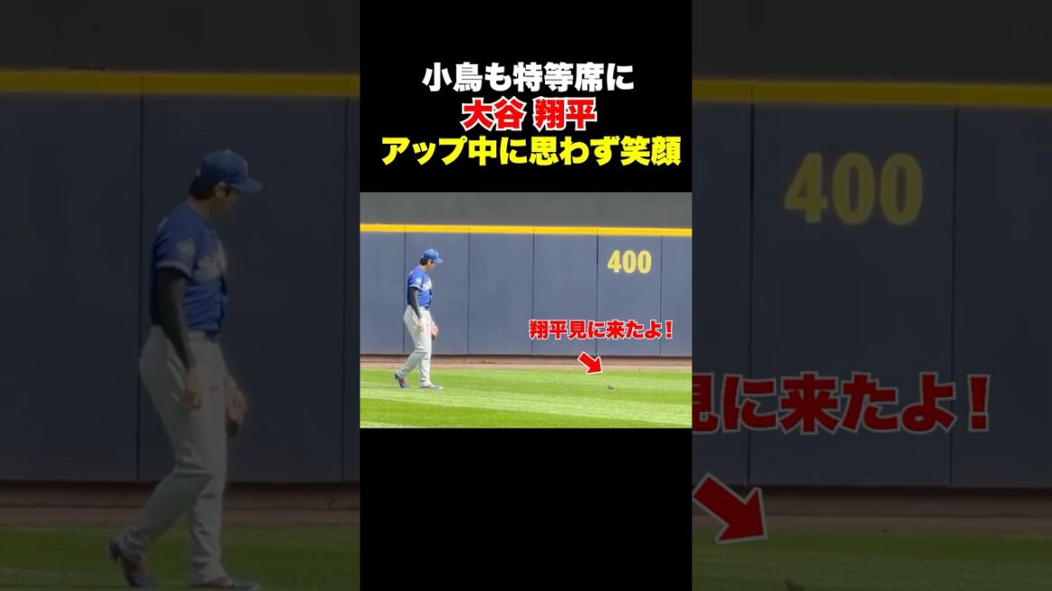 大谷翔平のアップ中に思わぬ珍客が…‼️