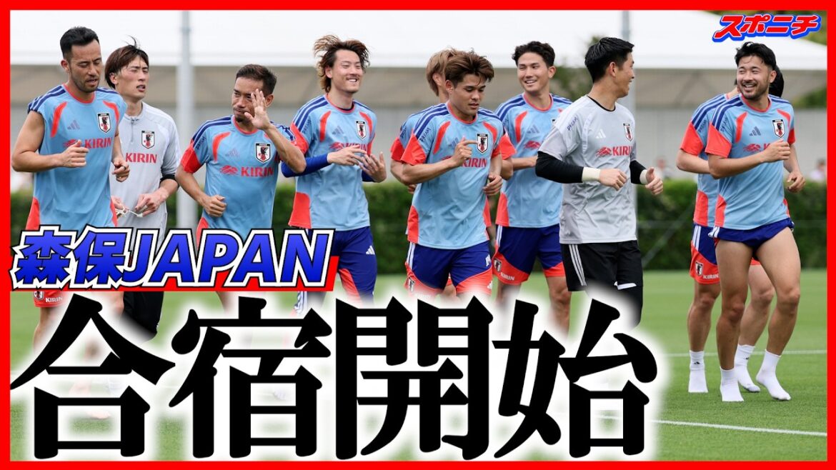 さあサッカーW杯へ始動!森保ジャパン、長友、堂安ら13選手で合宿スタート 一般公開でファン見守る さあサッカーW杯へ始動!森保ジャパン、長友、堂安ら13選手で合宿スタート 一般公開でファン見守る