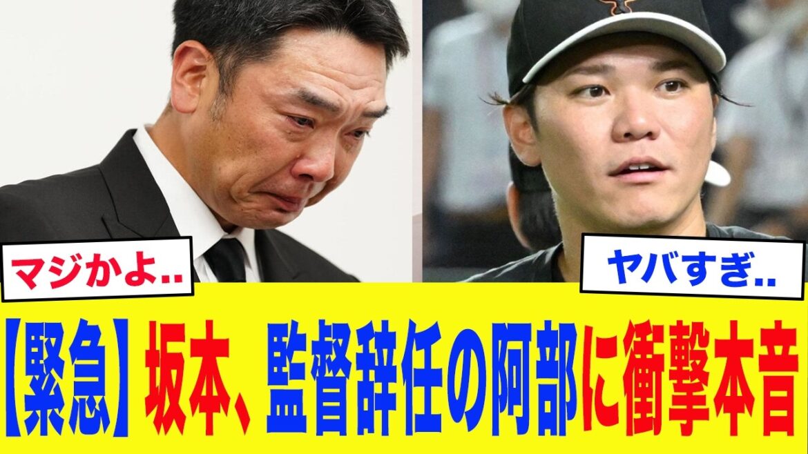「個人的に思うことはたくさんある…」坂本勇人、阿部慎之助の逮捕・電撃辞任に対し衝撃本音…残されたナインの悲痛な叫びと、橋上新体制が直面する問題がヤバい…【読売ジャイアンツ】