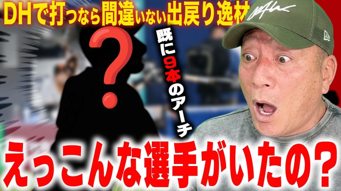【逸材発掘】えっこんな打てる選手がいたのか?元NPB戦士で再契約をするべき逸材がヤバすぎた…