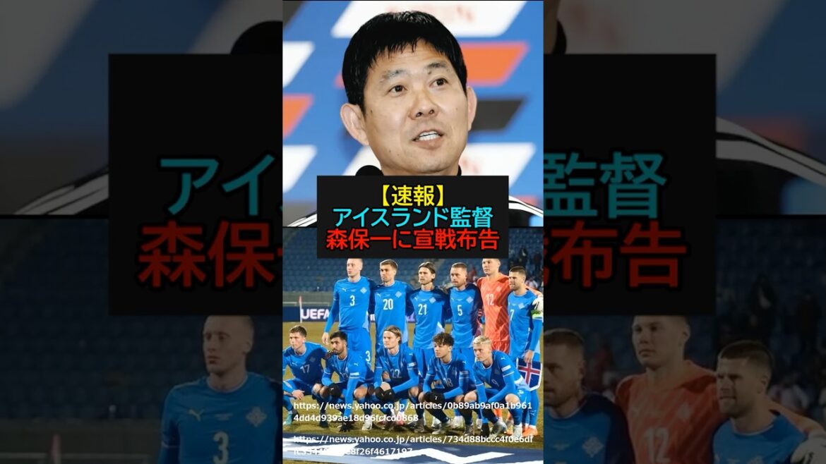 【速報】アイスランド監督が森保一に宣戦布告！？【サッカー】【ワールドカップ】