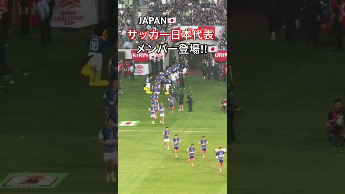 サッカー日本代表メンバー登場‼︎ #サッカー日本代表 #football #サッカー #soccer #W杯 #worldcup #日本代表 サッカー日本代表メンバー登場‼︎ #サッカー日本代表 #football #サッカー #soccer #W杯 #worldcup #日本代表