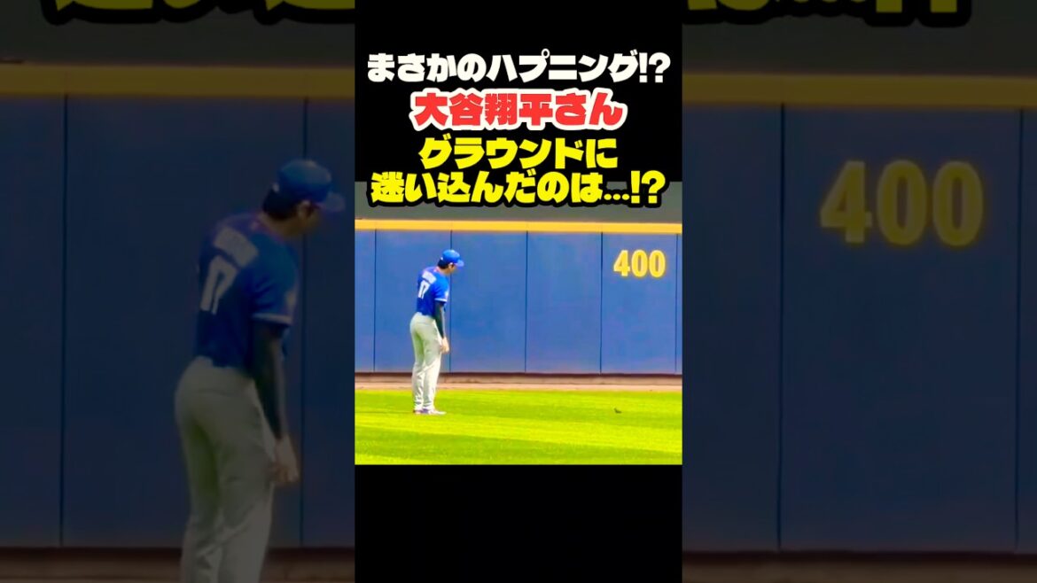 大谷翔平さん グラウンドでまさかのハプニング⁉️ #大谷翔平 #mlb #shorts #dodgers #ドジャース #野球 #ohtani #baseball #投手 #二刀流