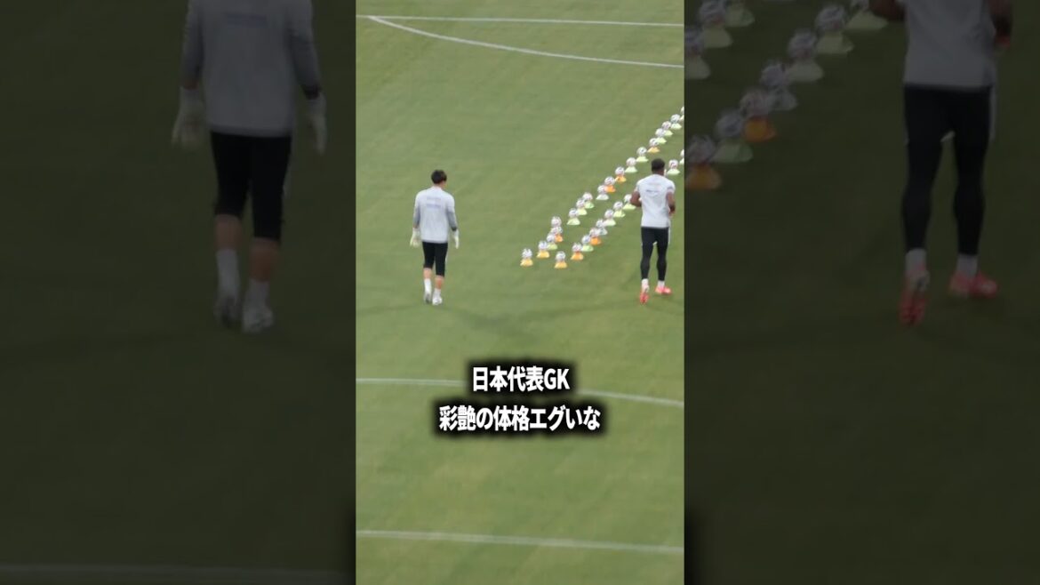 彩艶は世界で見てもTOP 彩艶は世界で見てもTOP