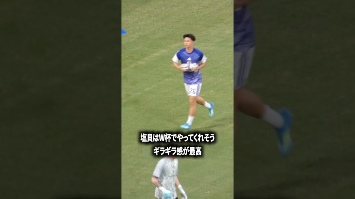 塩貝のギラギラ感最高 塩貝のギラギラ感最高