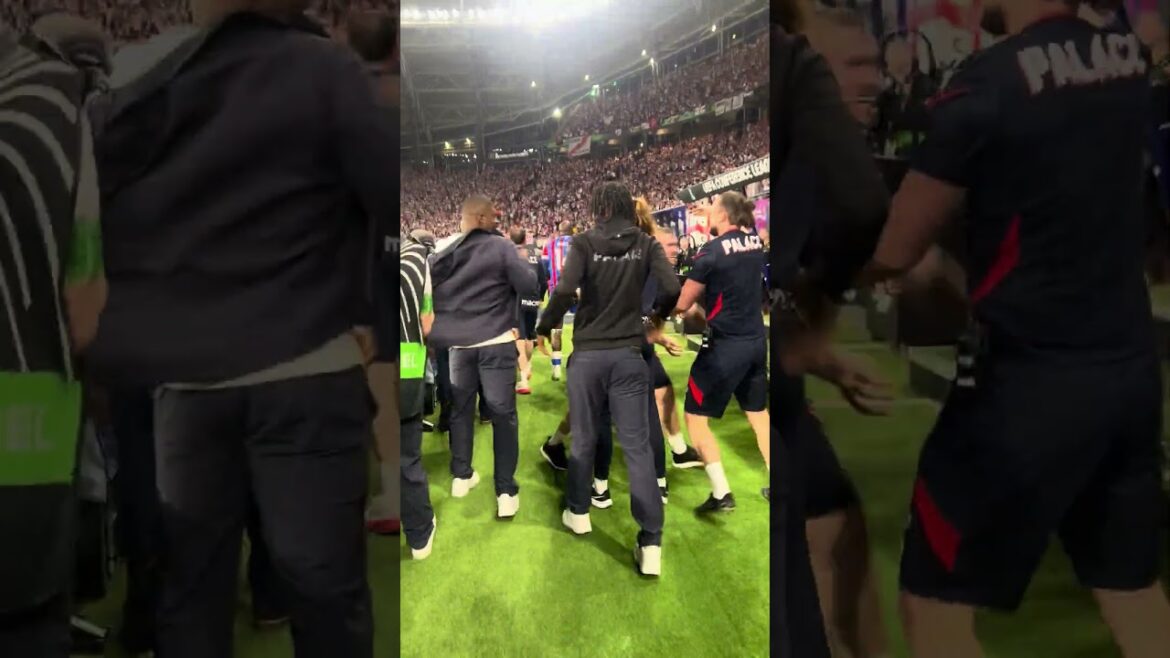 The moment we became Champions of Europe 🏆 #crystalpalace The moment we became Champions of Europe 🏆 #crystalpalace