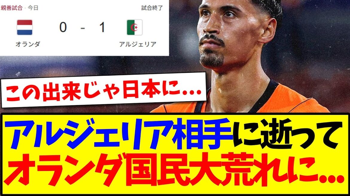 【海外の反応】オランダさんアルジェリア相手に逝ってしまい、大荒れしてしまうオランダ国民の反応がこちらです...w