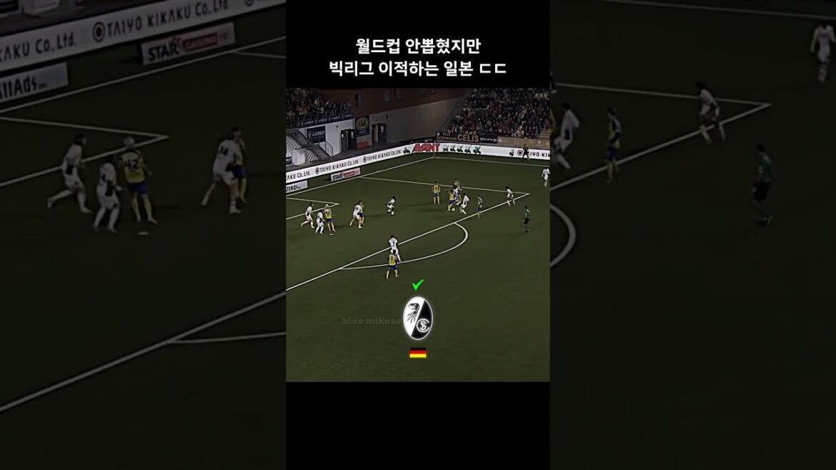 월드컵 안뽑혀도 빅리그 이적하는 일본 ㄷㄷ