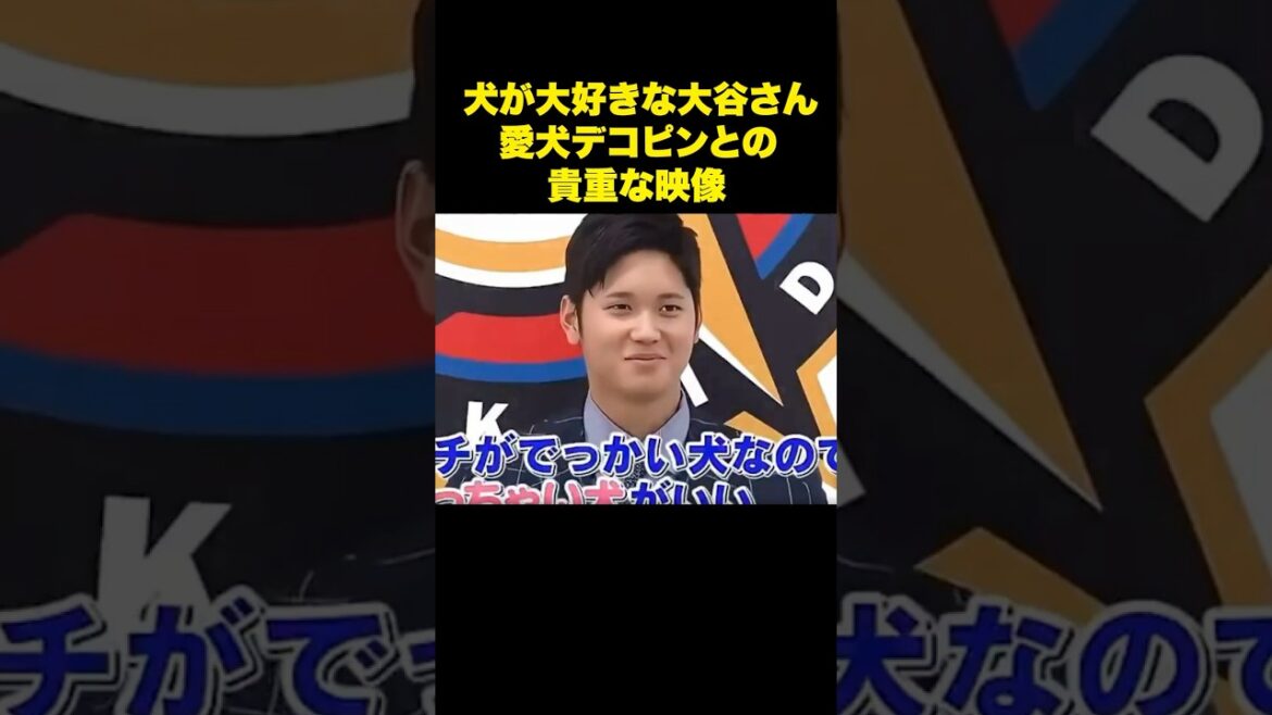 大谷翔平と愛犬デコピンとの貴重な映像🥰