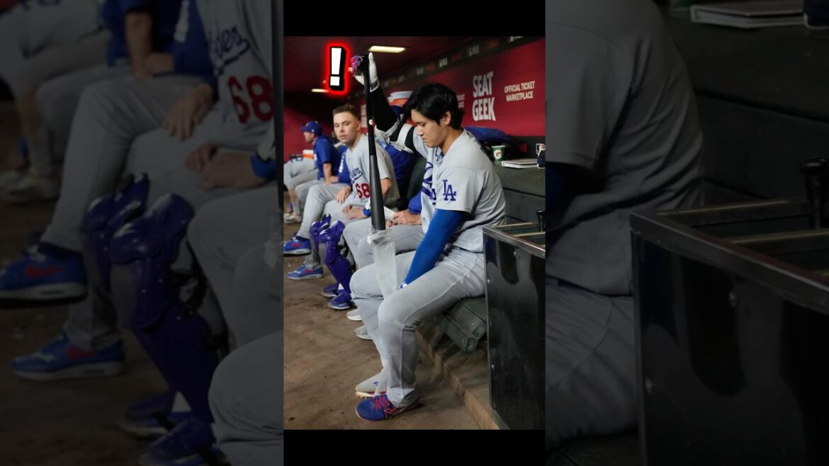 新品のバットを買ったドジャース大谷翔平