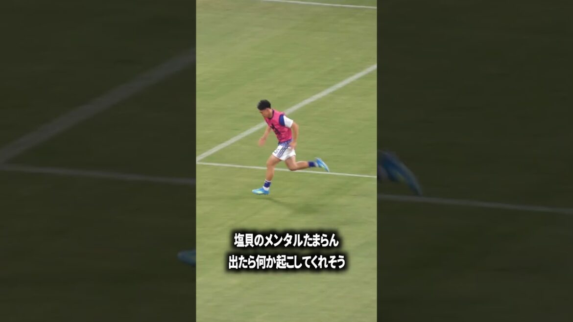 塩貝の最大の長所は? 塩貝の最大の長所は?