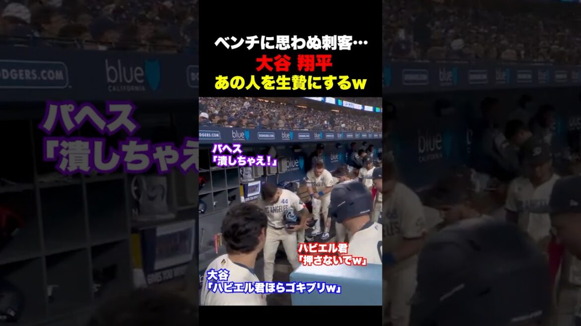 大谷翔平がゴキブリにあの人を捧げるw w