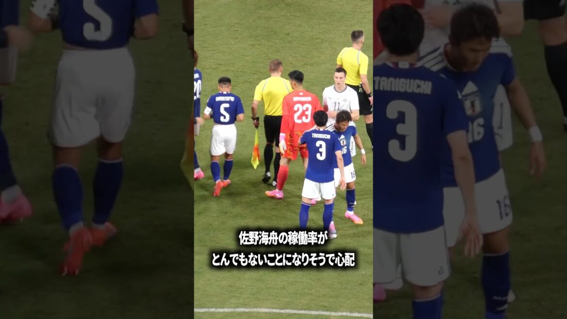 佐野海舟の稼働率が心配 佐野海舟の稼働率が心配