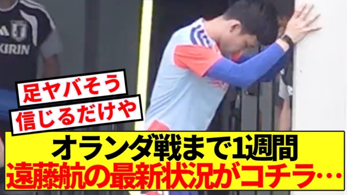 【速報】オランダ戦まで1週間、キャプテン遠藤航の状態がコチラです 【速報】オランダ戦まで1週間、キャプテン遠藤航の状態がコチラです