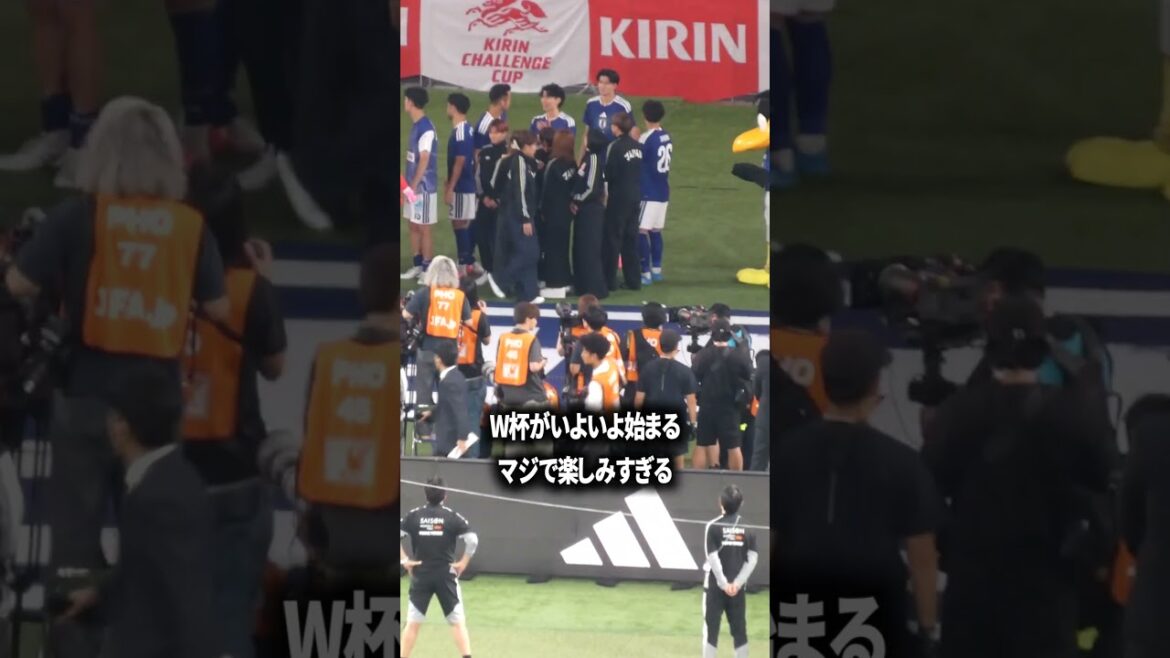 w杯楽しみすぎる w杯楽しみすぎる