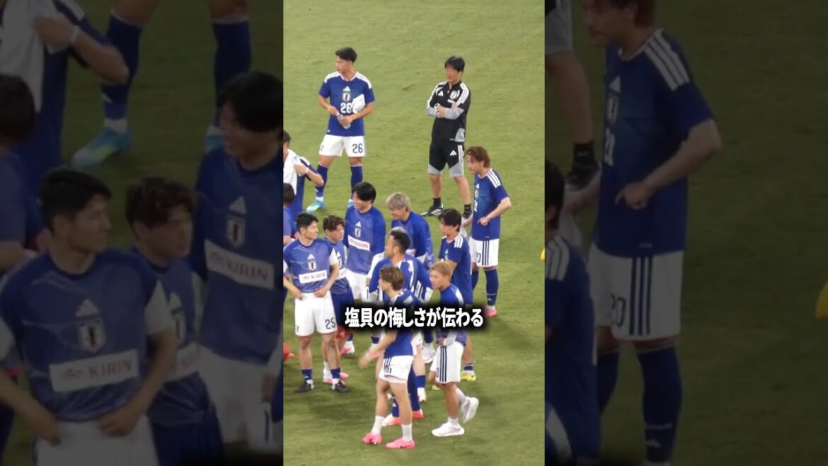 塩貝の悔しさが伝わる 塩貝の悔しさが伝わる