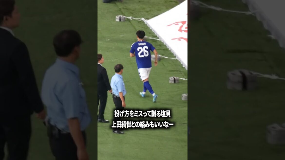 塩貝の可愛らしい一面 塩貝の可愛らしい一面