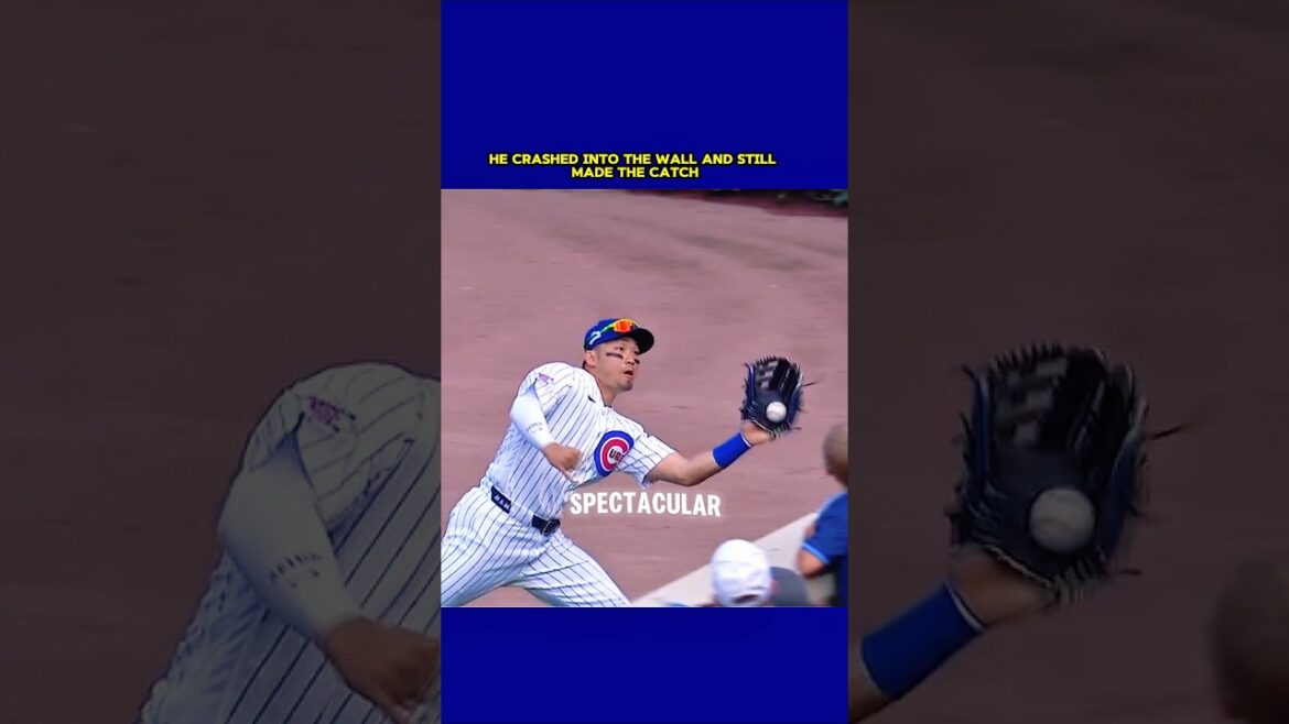 Seiya Suzuki’s Fearless Catch at the Wall! #shortfeed #feedshorts #baseball