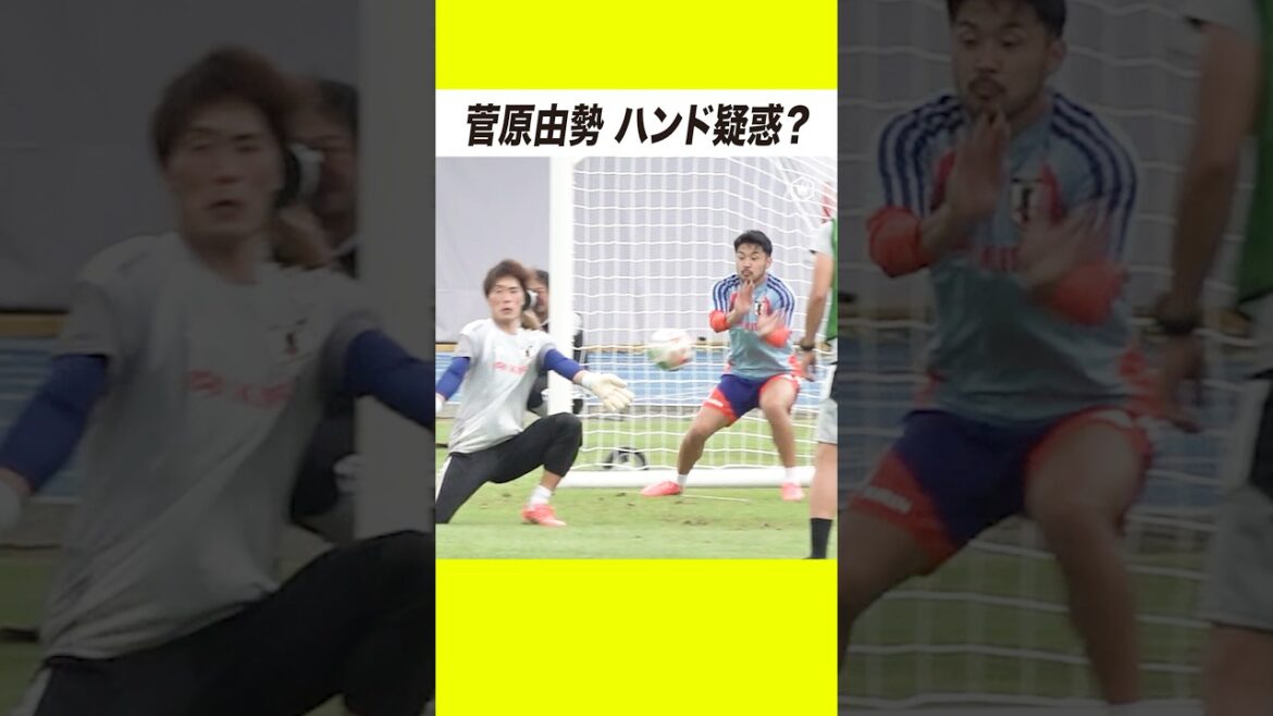 菅原由勢がハンド疑惑も…「喋るな喋るな！まずやれ！」