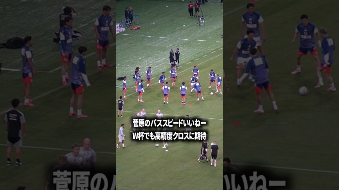 菅原はかましてくれそうな気がする 菅原はかましてくれそうな気がする