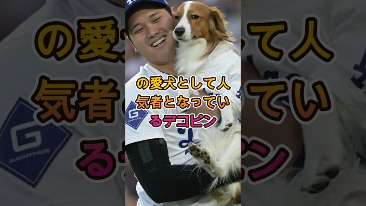 Shohei Ohtaniが免許を取った意外な理由にファン驚愕😳