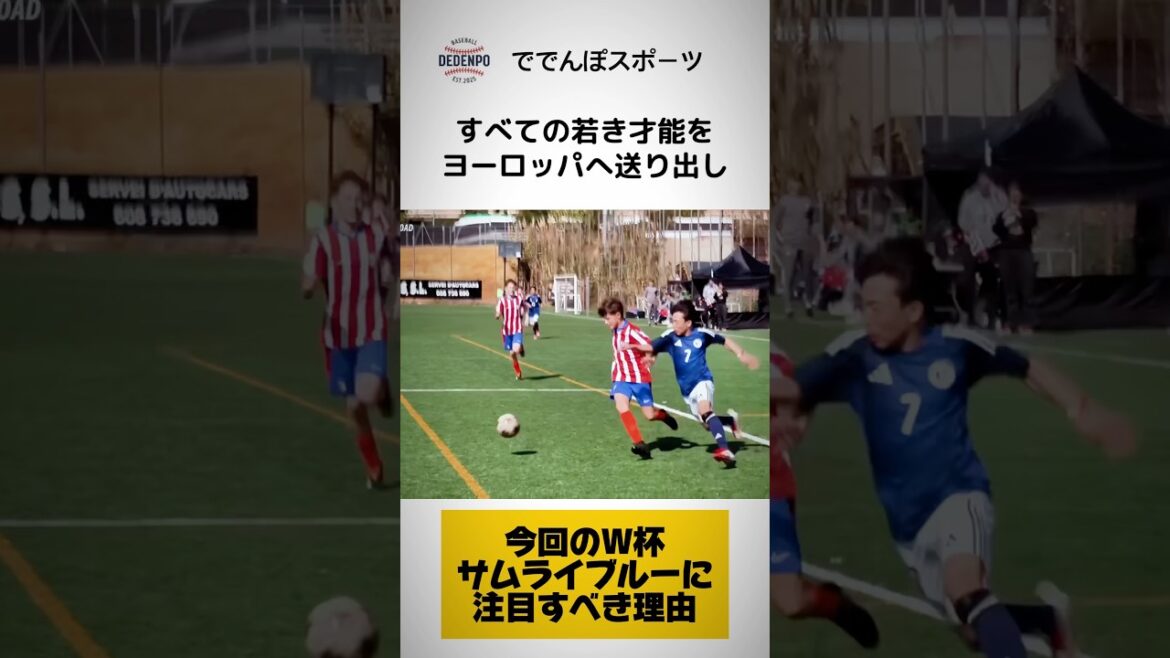 今回のW杯でサムライブルーを注目すべき理由 #サッカー #日本サッカー #サムライブルー #久保建英 #堂安律 #遠藤航 #w杯2026 #ワールドカップ