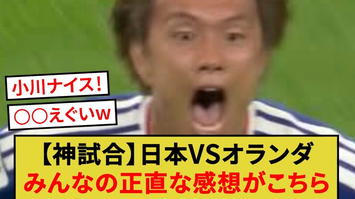 【神試合】日本VSオランダみんなの正直な感想がこちらw