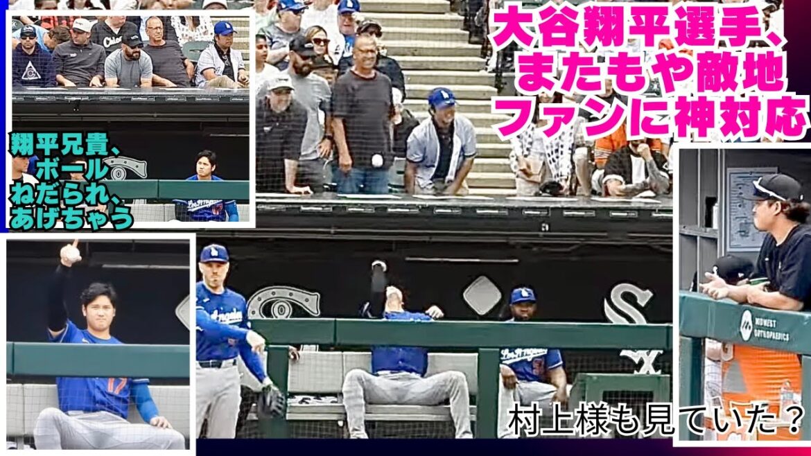 現地面白映像‼️大谷翔平選手がまたもや神対応‼️ボールを欲しがるファンを最初はからかっているのかと思ったら本当にプレゼント!白靴下ファンだったようで、他のファンに怒られないようにそのまま帰って行った?