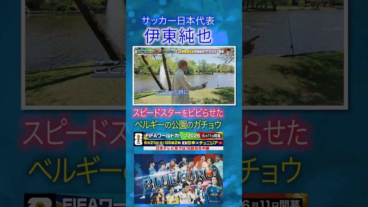【スピードスターをビビらせた】#伊東純也 ベルギーの公園のガチョウ｜#FIFAワールドカップ2026 へ…#サッカー日本代表 に密着｜Going!企画～BLUE EURO #shorts