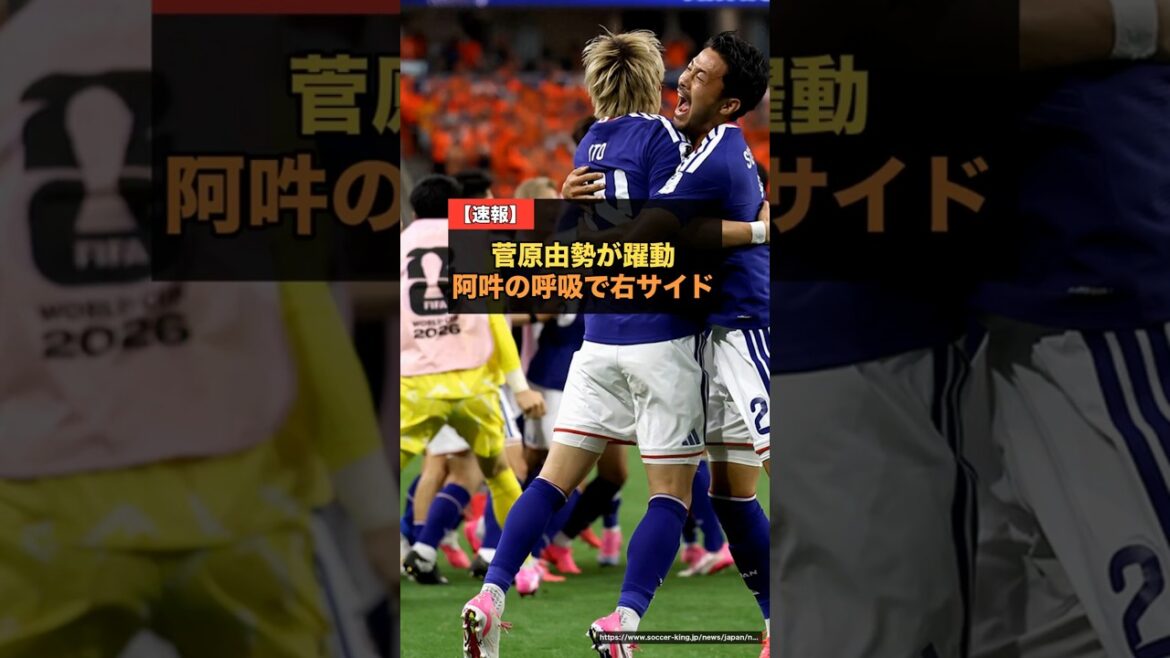 【日本代表】菅原由勢×伊東×冨安の“阿吽の呼吸”…オランダ戦で右サイドが機能、強豪相手に2度追いつく #サッカー日本代表 #W杯 【日本代表】菅原由勢×伊東×冨安の“阿吽の呼吸”…オランダ戦で右サイドが機能、強豪相手に2度追いつく #サッカー日本代表 #W杯
