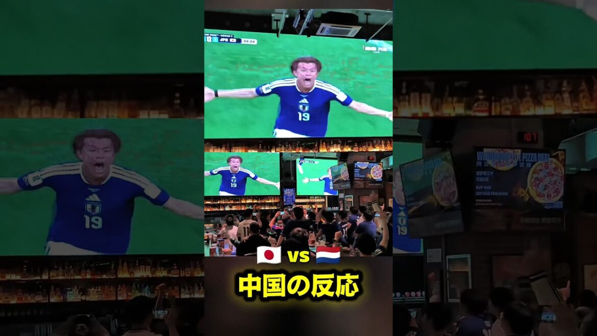 【日本vsオランダ】鎌田のゴールに中国が大興奮! 【日本vsオランダ】鎌田のゴールに中国が大興奮!
