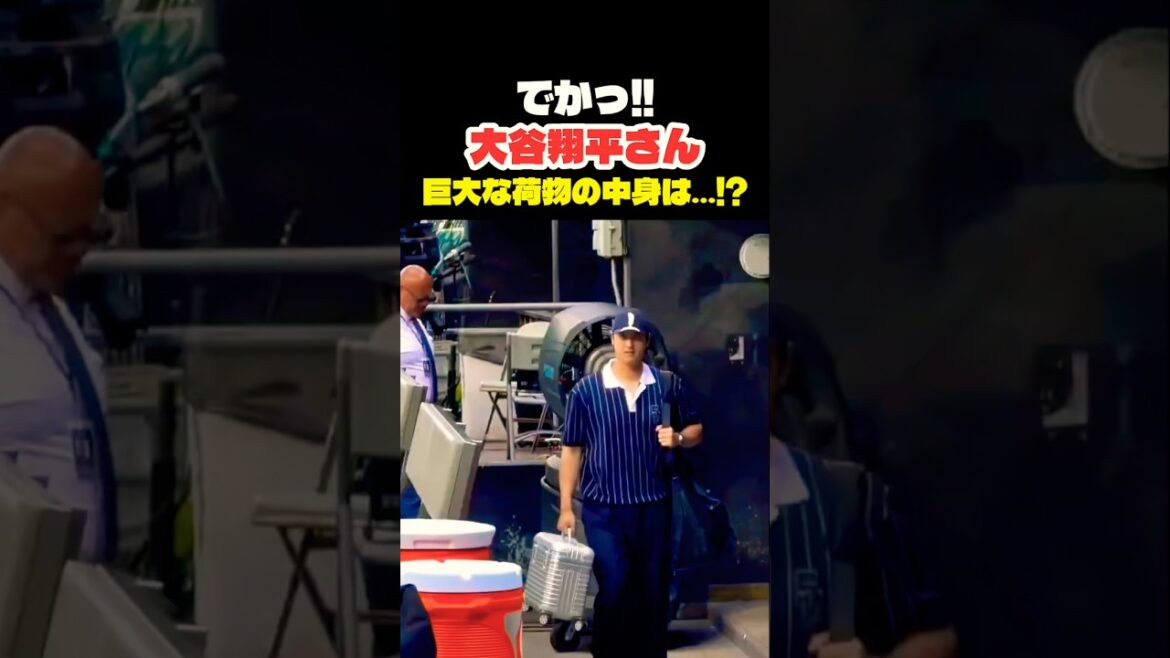 大谷翔平さん 巨大な荷物の中身は?😳 #大谷翔平 #mlb #shorts #dodgers #ドジャース #野球 #ohtani #baseball