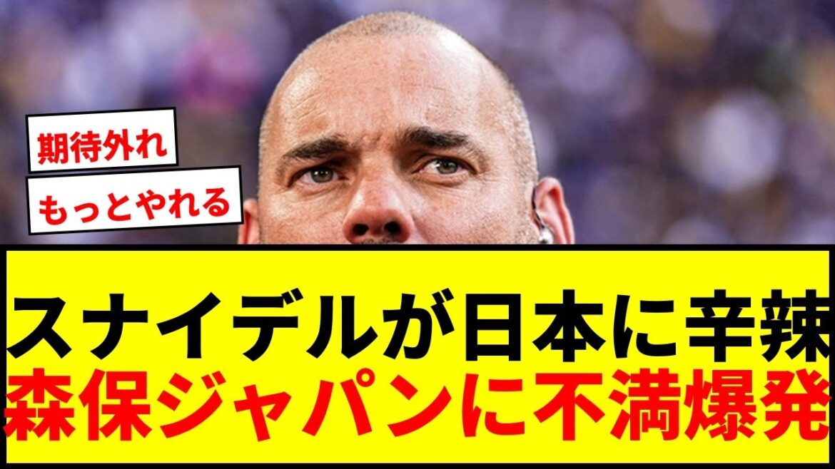【衝撃】スナイデルが森保ジャパンに辛辣意見!「残念だったのは日本」W杯初戦の戦い方に不満爆発! 【衝撃】スナイデルが森保ジャパンに辛辣意見!「残念だったのは日本」W杯初戦の戦い方に不満爆発!