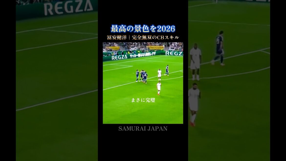 最高の景色を🇯🇵チュニジアを絶望させた冨安健洋のCBスキル3選 #W杯 #日本代表
