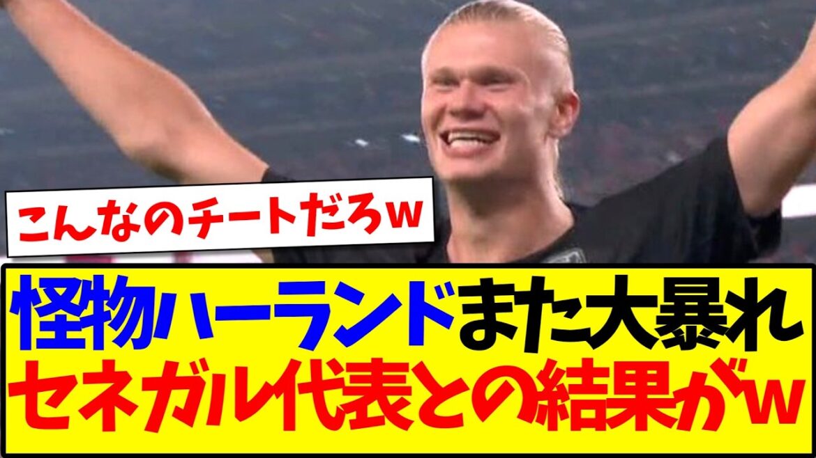 【速報】ノルウェーvsセネガルを見た、日本サポの反応がこちらです!!! 【速報】ノルウェーvsセネガルを見た、日本サポの反応がこちらです!!!