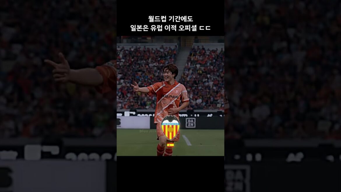 월드컵 기간에도 일본은 유럽 오피셜 ㄷㄷ