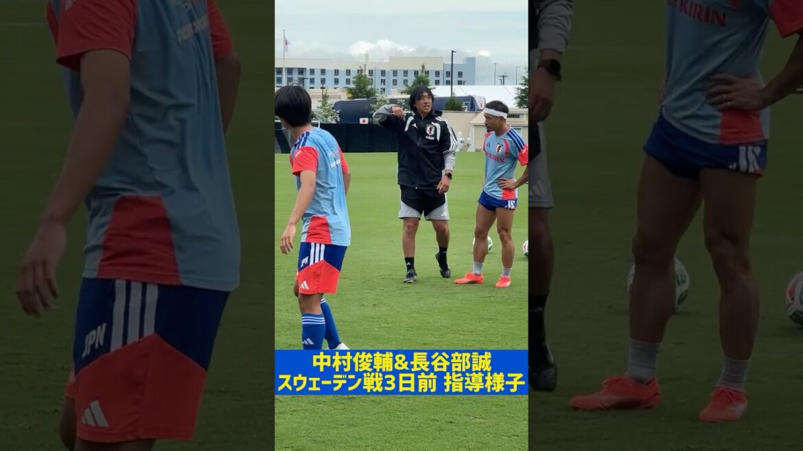 【細やかな指導】中村俊輔&長谷部誠コーチの声がピッチに響く スウェーデン戦まであと3日 #サッカー日本代表 #FIFAワールドカップ2026 #中村俊輔 #長谷部誠 #shorts 【細やかな指導】中村俊輔&長谷部誠コーチの声がピッチに響く スウェーデン戦まであと3日 #サッカー日本代表 #FIFAワールドカップ2026 #中村俊輔 #長谷部誠 #shorts