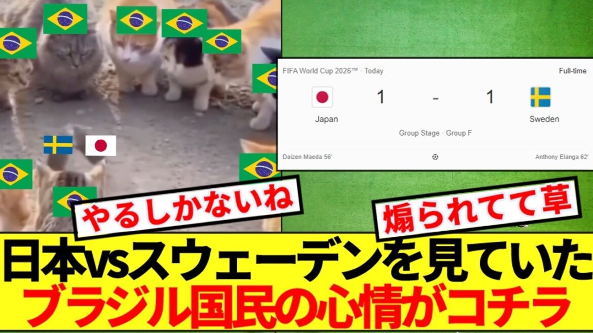 【ブラジルの反応】日本vsスウェーデンを見ていたブラジル国民の心情がコチラのようですww
