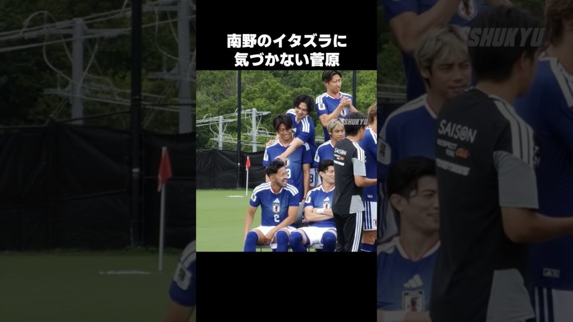 南野拓実のイタズラに気づかない菅原由勢 #shorts #日本代表 #サッカー