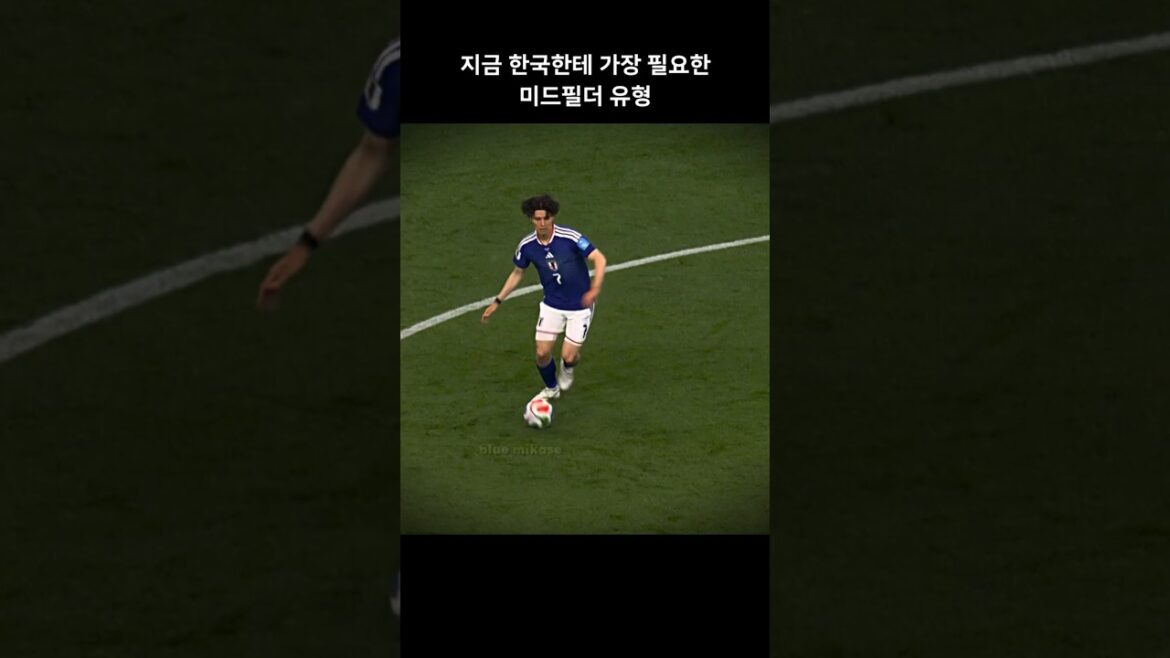 한국에 없는 미드필더 유형 👀