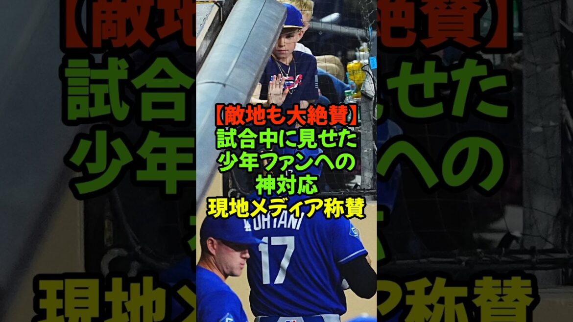 試合中にハイタッチ!?大谷翔平が敵地で見せた異次元の神対応#大谷翔平 #ドジャース #神対応 #メジャーリーグ #最高の思い出 #野球