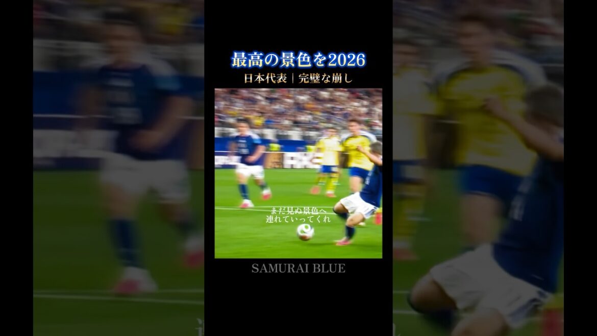 最高の景色を🇯🇵完璧なコンビネーションで決勝トーナメントを掴み取る #日本代表 #w杯