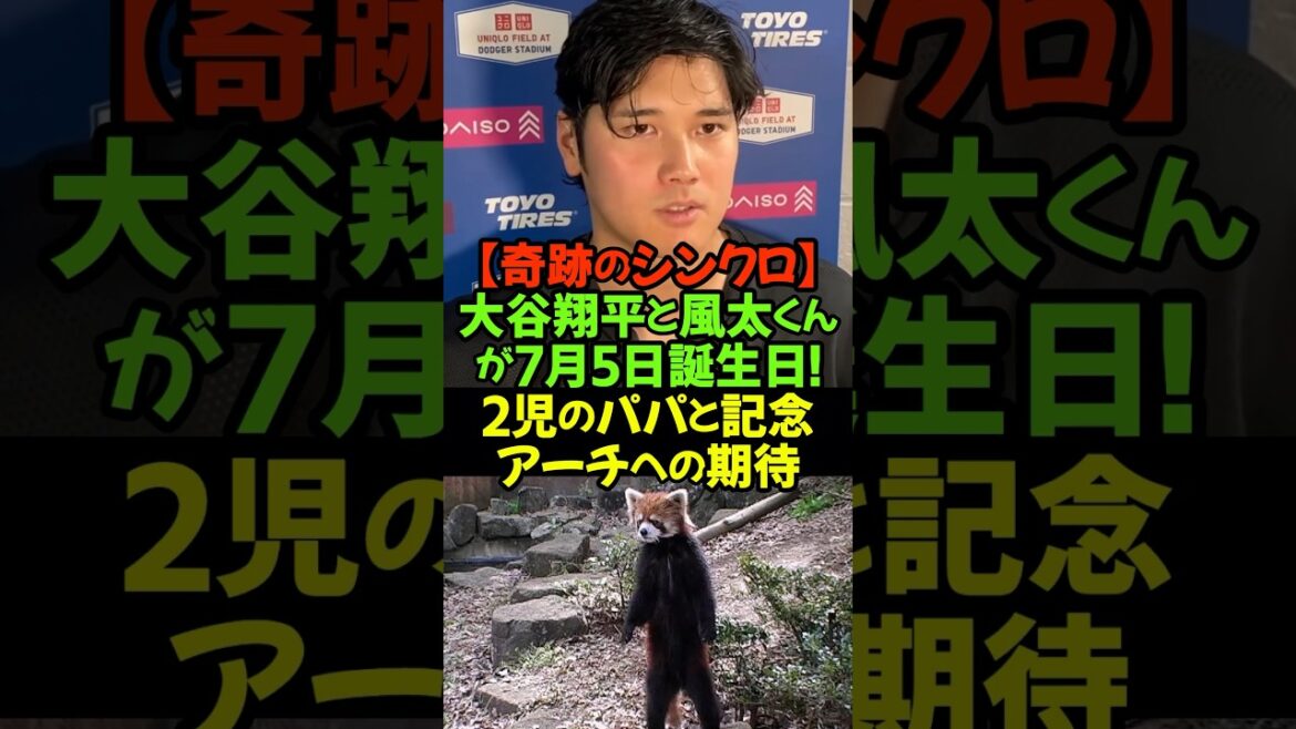 長寿の風太くん、進化の大谷翔平…祝福のエールが止まらない💕#大谷翔平 #ドジャース #風太くん #誕生日おめでとう #メジャー通算300号 #レッサーパンダ