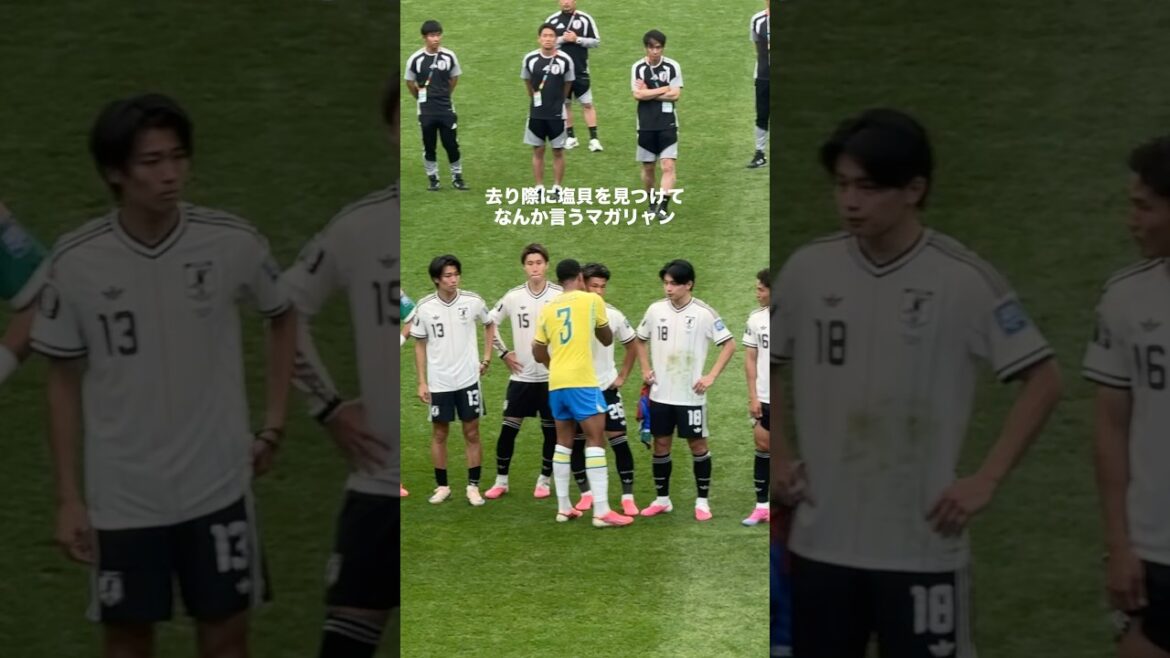 塩貝を見つけてなんか言うマガリャン #サッカー #サッカー日本代表 #ワールドカップ