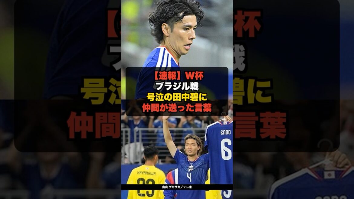 【速報】W杯 ブラジル戦 号泣の田中碧に仲間が送った言葉【サッカー日本代表】 #shorts #サッカー #ワールドカップ #サッカー日本代表 【速報】W杯 ブラジル戦 号泣の田中碧に仲間が送った言葉【サッカー日本代表】 #shorts #サッカー #ワールドカップ #サッカー日本代表