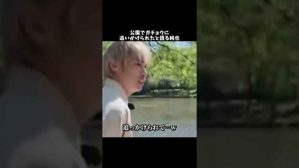 公園でガチョウに追いかけられたと語る純也w#伊東純也 #サッカー日本代表 #shorts